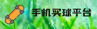 【官方】手机买世界杯_正版门户_2026极速投注通道